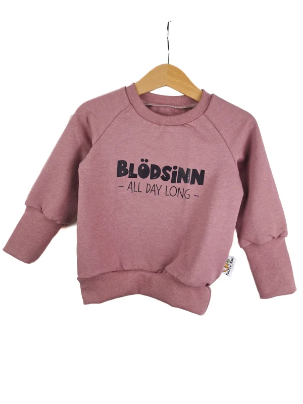 Pullover Blödsinn all Day long-Patch rosa