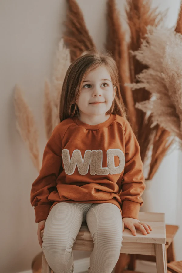 Pullover Wild-Patch rost – Bild 3