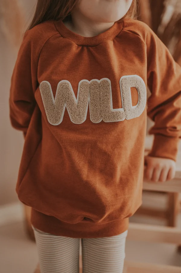Pullover Wild-Patch rost – Bild 4
