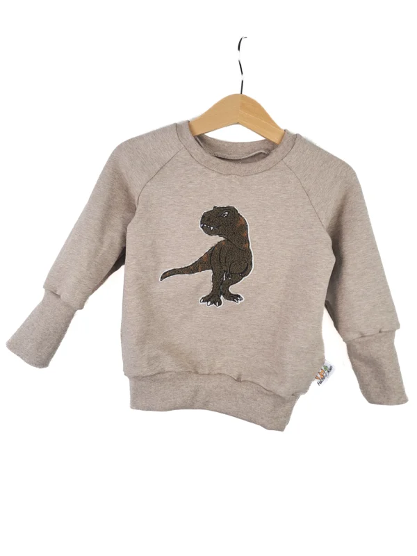 Pullover T-Rex-Patch khaki/sand