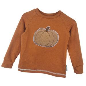 Langarmshirt Kürbis-Patch rost