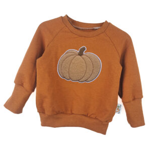 Pullover Kürbis-Patch rost
